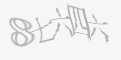 安全码