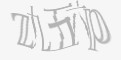 安全码