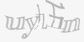 安全码