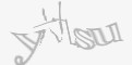 安全码