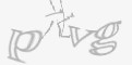 安全码
