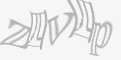 安全码
